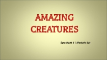 Презентация по английскому языку на тему Amazing creatuers (5 класс(