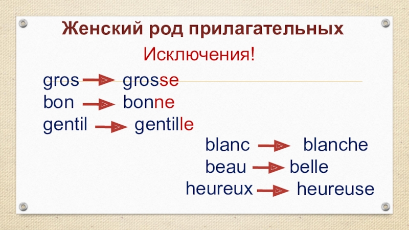 Женский род прилагательных во французском