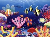 Презентация Обитатели морей океанов