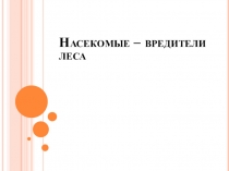 Насекомые- вредители леса.