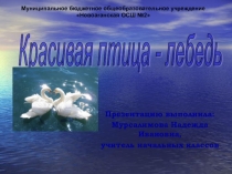 Презентация по окружающему миру