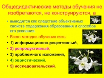 Кратко о методах в начальном обучении математике.