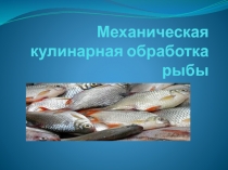 Презентация: Механическая и кулинарная обработка рыбы