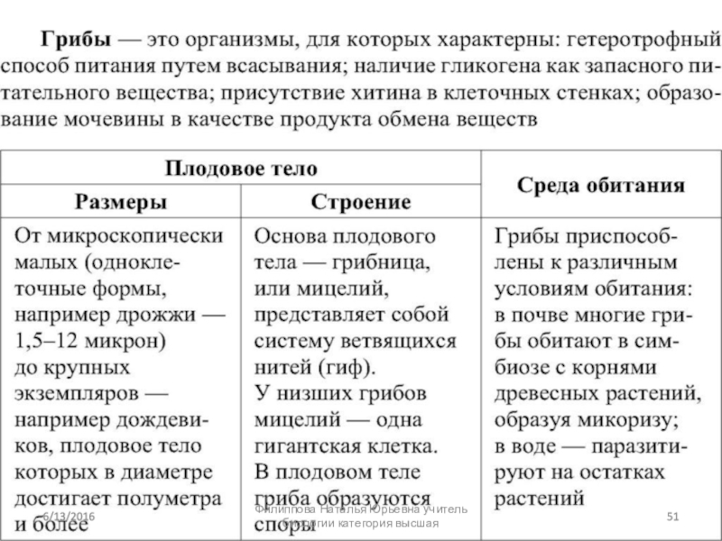 Презентация бактерии грибы лишайники