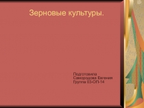 Презентация. по товароведению пищевых продуктов Злаковые культуры