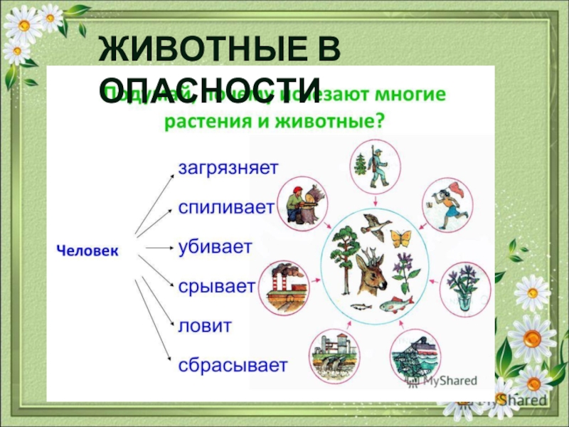 Охрана животных 3 класс плешаков. Окружающий мир охрана животных. Охрана животных 3 класс презентация. Охрана животных 3 класс окружающий мир. Охрана животных 3 класс окружающий мир презентация.