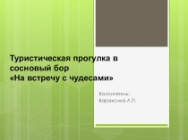 Прогулка в сосновый бор На встречу с чудесами