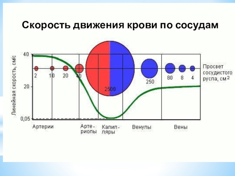 Скорость линейного потока