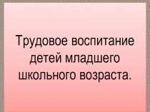 Презентация Трудовое воспитание детей младшего школьного возраста.