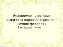 Презентация:опыты во 2младшей группе - весна в нашей группе в феврале.
