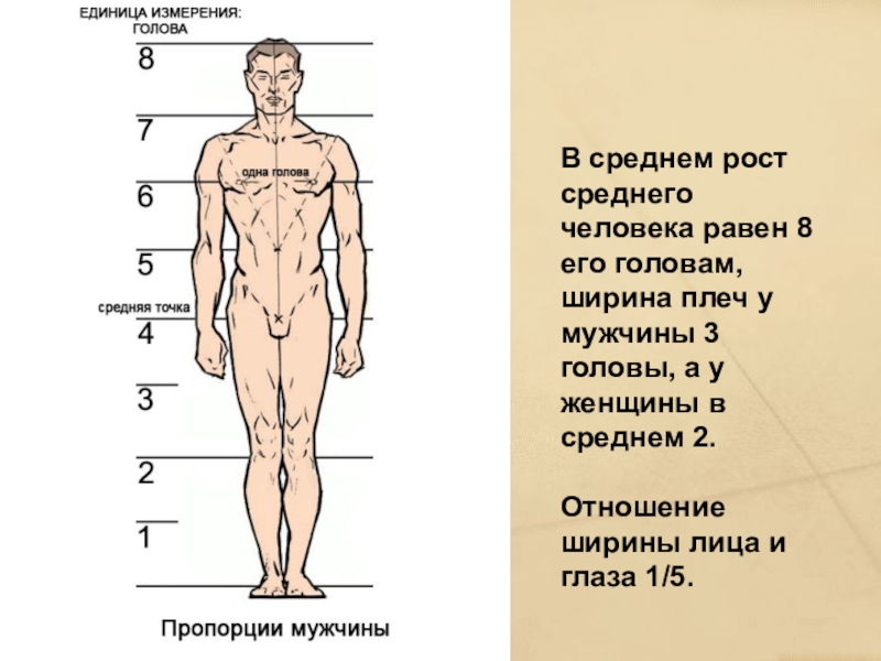 Какой уровень распознавания картинок у среднестатистического человека