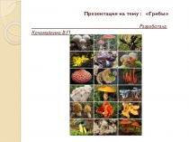 Грибы