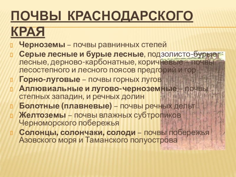 Основные сведения о почвах краснодарского края