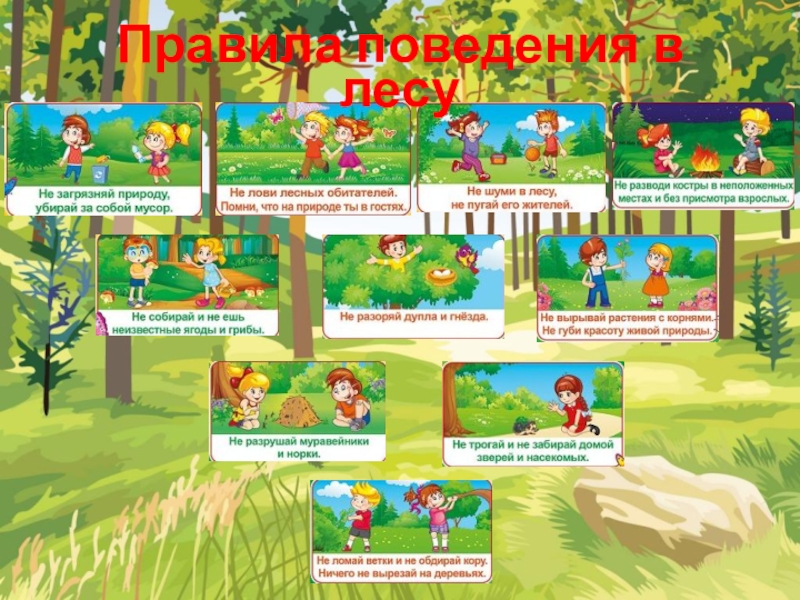 Игры с природой презентация