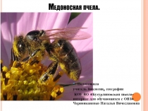 Презентация к уроку биологии (8 класс, школа для обучающихся с ОВЗ)