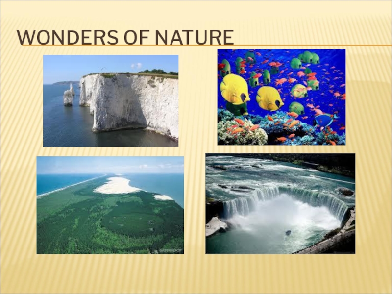 Презентация Презентация к уроку Wonders of Nature (6 класс)