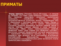 Презентация по биологии Приматы