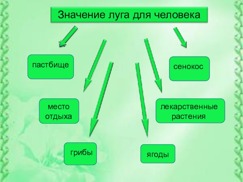 Природе нужны все 1 класс 21 век презентация