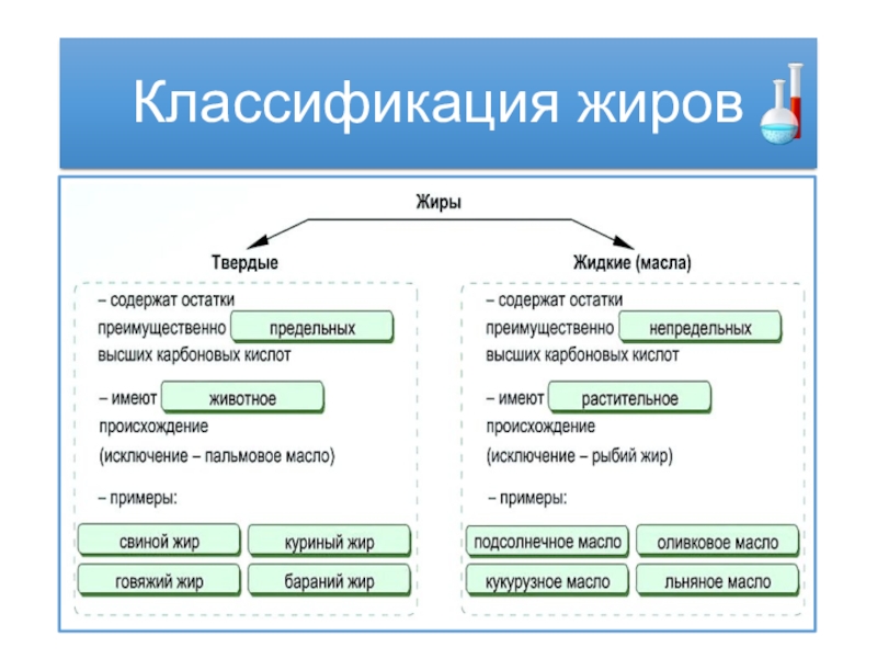 Пищевые жиры схема