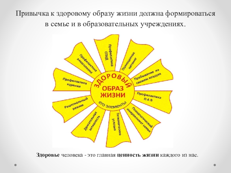 Проект здоровье человека