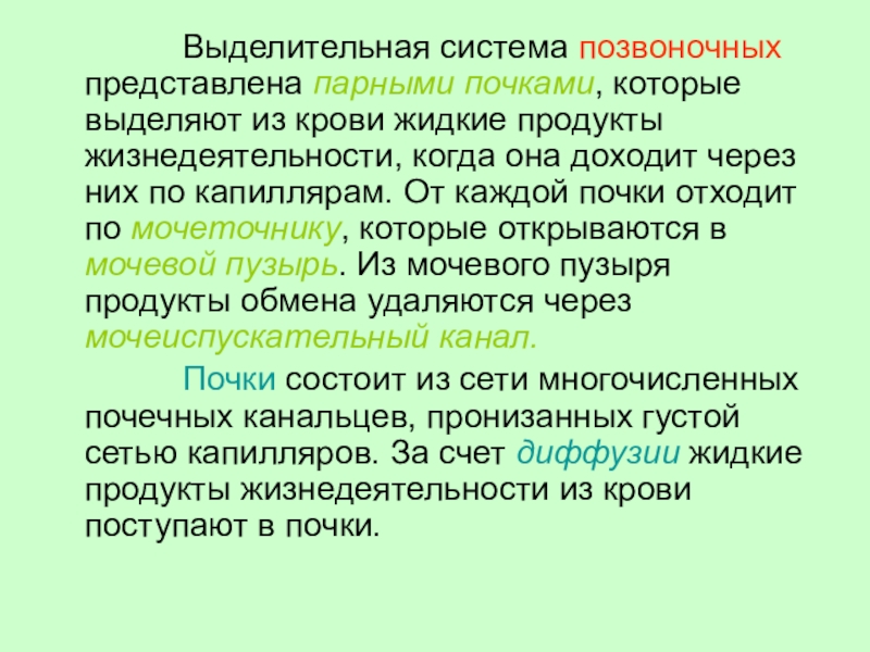 Презентация выделение 8 класс