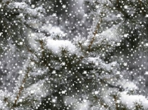 Презентация к уроку внеклассного чтения Чудо Рождества по рассказу Виктории Токаревой  Рождественский рассказ