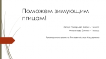 Презентация проектной работы тема Поможем зимующим птицам