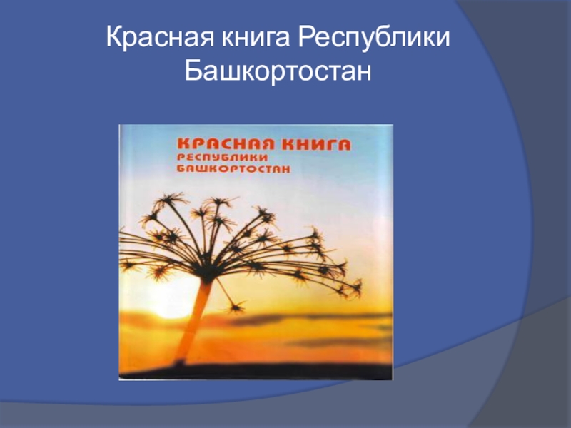 Красная книга республики башкортостан презентация