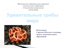 Презентация. Удивительные грибы мира