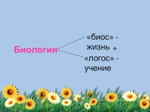 Презентация по биологии на тему Биология - наука о живой природе