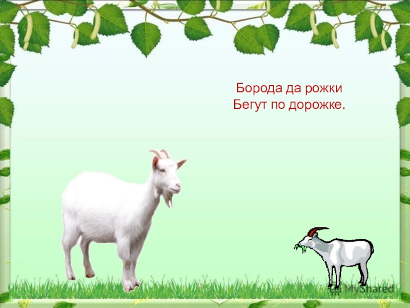 Отгадка на загадку бежит. Бегут по дорожке рожки да ножки. Загадка бегут по дорожке рожки да ножки. Рожки бегающие. Отгадать загадку бегут по дорожке доски да ножки.