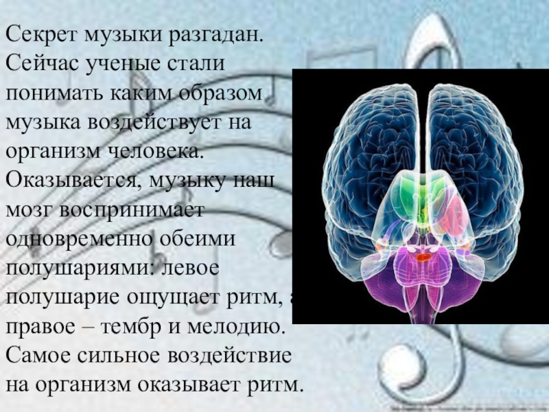 Мозг воспринимает. Музыку наш мозг воспринимает одновременно. Какое взаимодействие музыки оказывается на человека. Музыку воспринимает наш мозг обоими полушариями картинка.