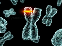 Презентация по биологии_Мутационная изменчивость