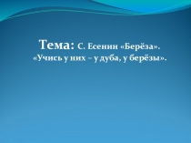 Презентация по литературе на тему С. Есенин Берёза.Учись у них – у дуба, у берёзы.(6 класс)