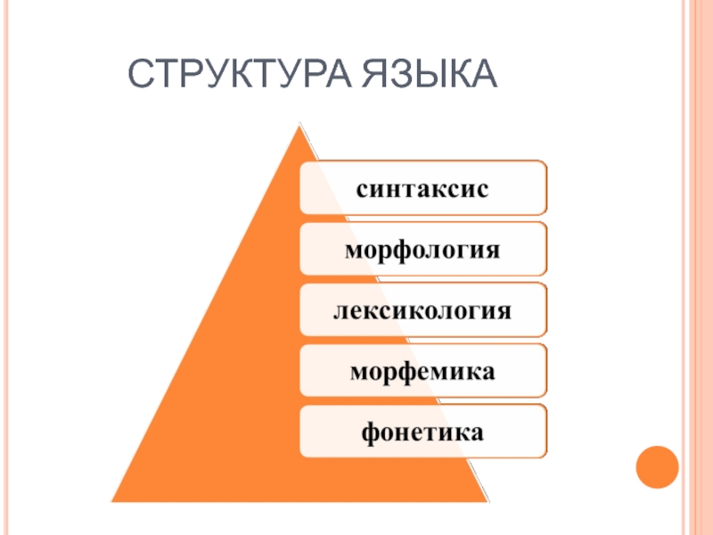 Структура языка. Пирамида морфологии. Лексикология синтаксис морфология. Морфология и синтаксис 8 класс.