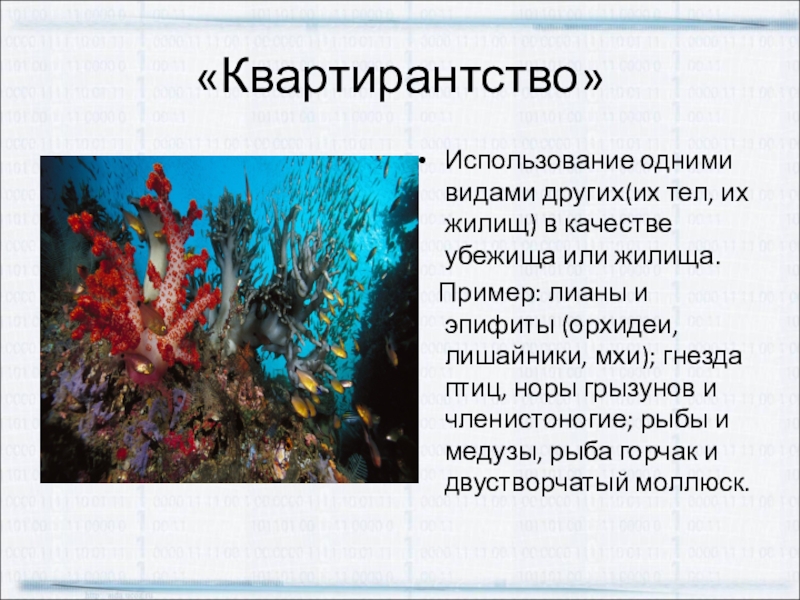 Организмы использующие другие в качестве жилья или убежища сообщение. Организмы использующие в качестве жилья или убежища. Квартиранство в биологии примеры. Квартиранство. Паразитизм примеры растений.