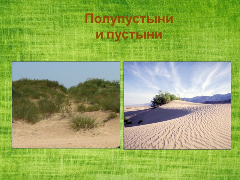 Пустыни и полупустыни россии урок. Зона пустынь и полупустынь. Растения пустыни и полупустыни в России. Природные зоны пустыни и полупустыни. Пустыни и полупустыни России растения и животные.