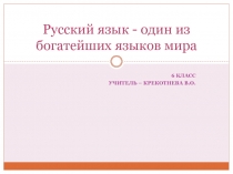 Презентация по русскому языку на тему Русский язык - один из богатейших языков мира (6 класс)