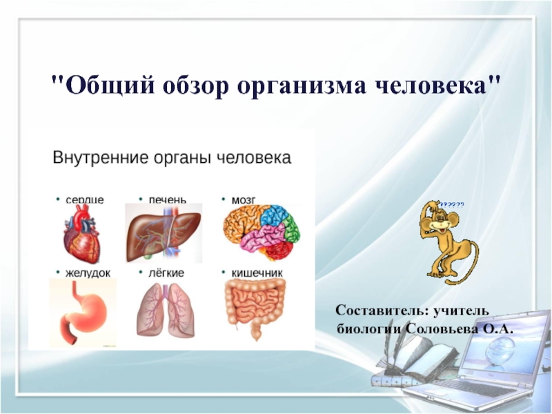 Презентация по биологии 8 класс речь