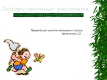 Презентация по окружающему миру Лекарственные растения 2 класс