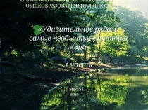 Разнообразие растений 5-6 класс