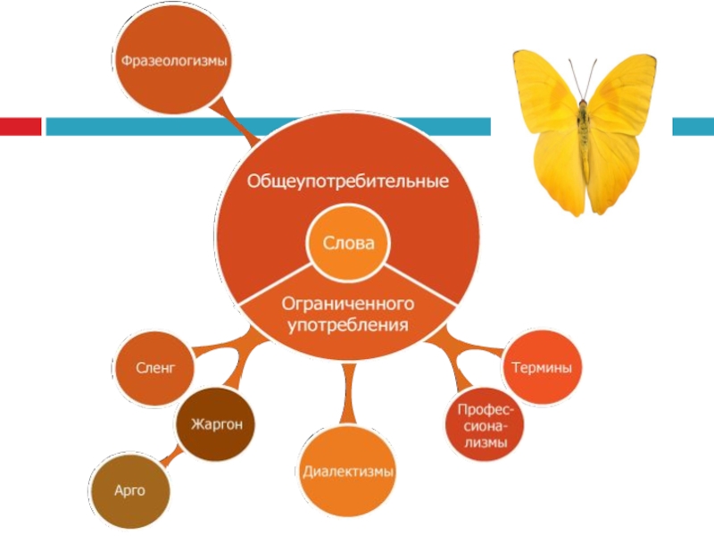 6 класс общеупотребительные слова презентация