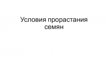 Презентация по биологии 6 класс на тему Условия прорастания семян