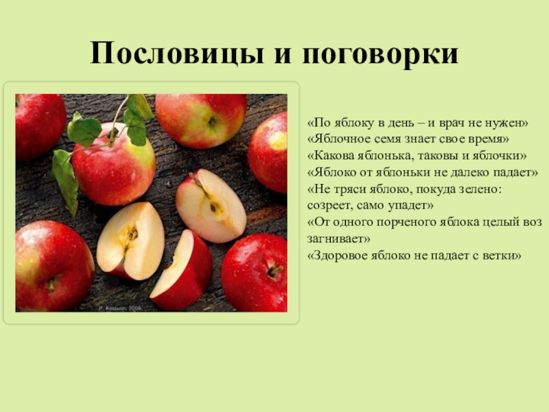 Мимо яблоньки не падает вставить слово. Пословицы о яблоках. Яблочное семя знает свое время пословица. Одно яблоко в день. Пословицы и поговорки о яблоках.