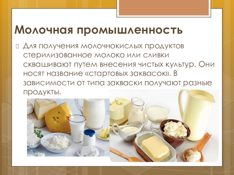 История создания кисломолочных продуктов презентация