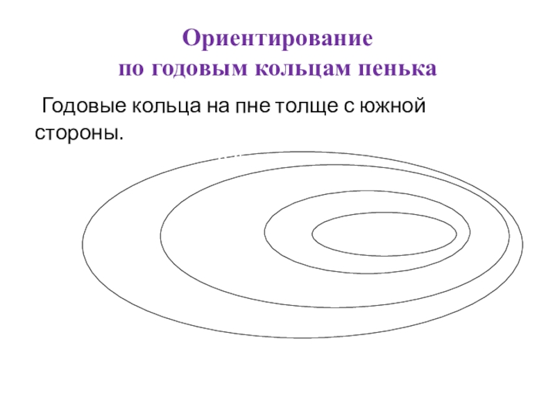 Рисунок образованный годичными кольцами называется ответ