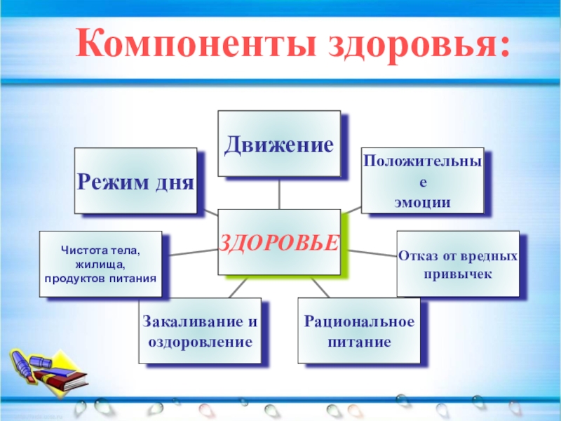 Назовите структурные элементы презентации