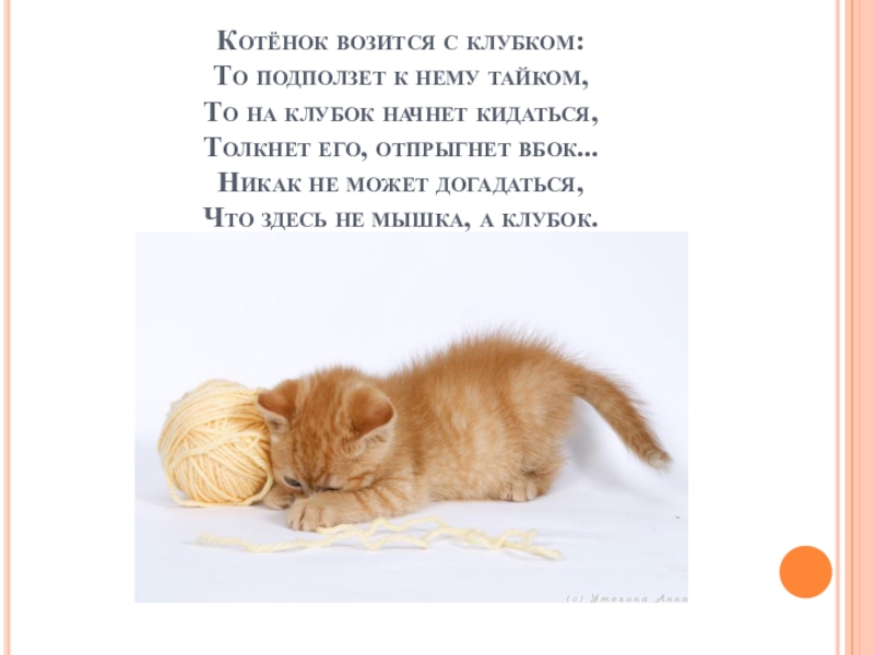Главная мысль стихотворения котенок