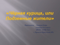 Презентация к уроку литературы по сказке А.Погорельского Черная курица, или подземные жители