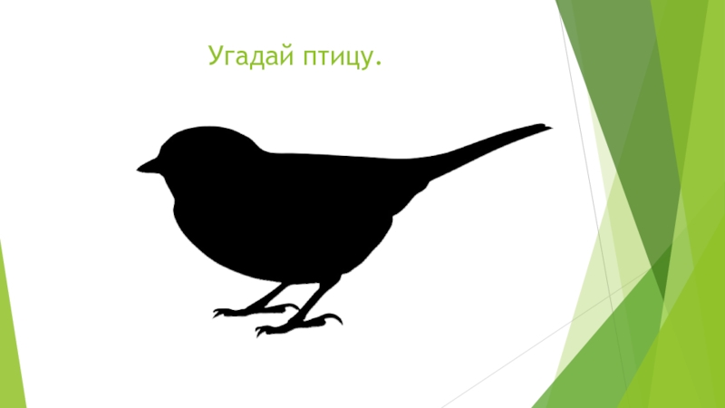 Птицами понять. Узнай птицу по силуэту. Силуэты зимующих птиц для детей. Угадай птицу по силуэту. Силуэт воробья.